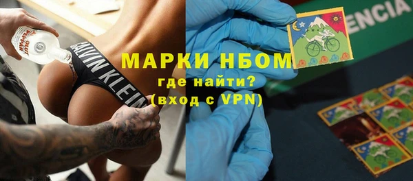 крисы Алзамай
