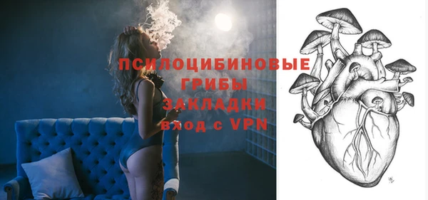 крисы Алзамай