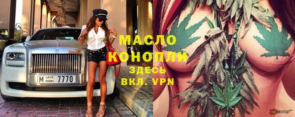 крисы Алзамай