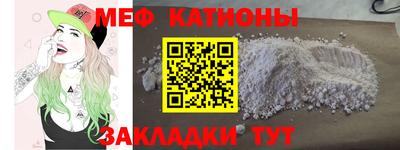 индика Гатчина