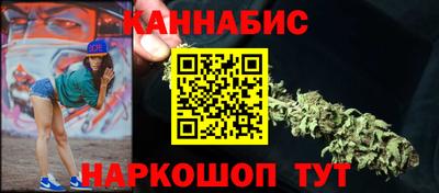 индика Гатчина
