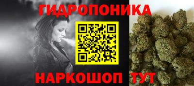 индика Гатчина