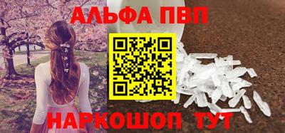 индика Гатчина