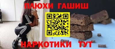 индика Гатчина