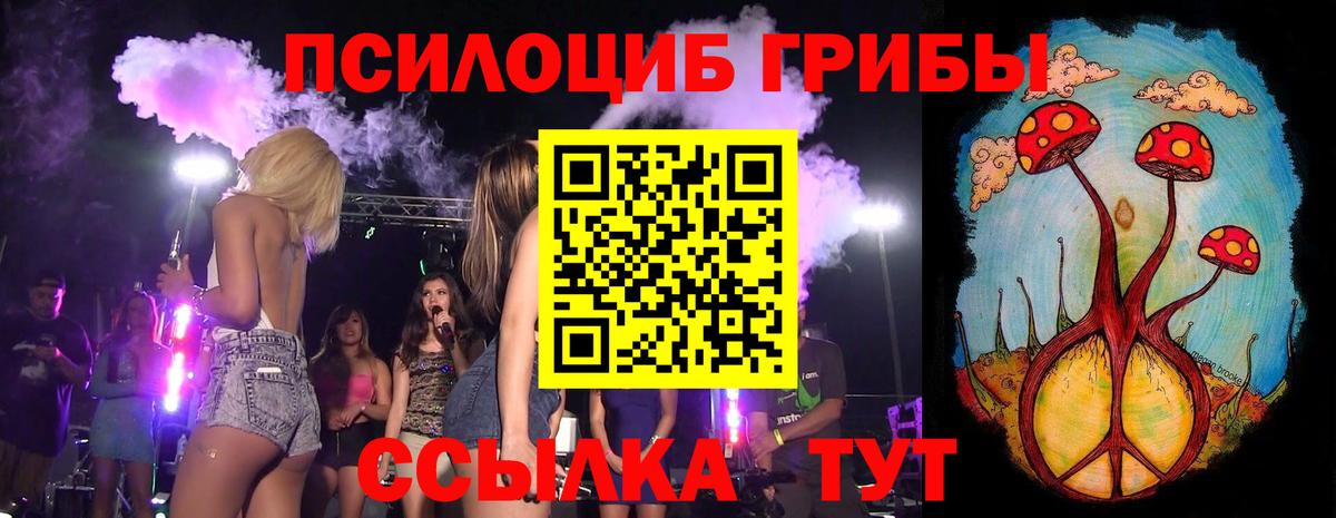 Псилоцибиновые грибы Cubensis  Вход с VPN  Псилоцибиновые грибы Magic Shrooms  Кинель 