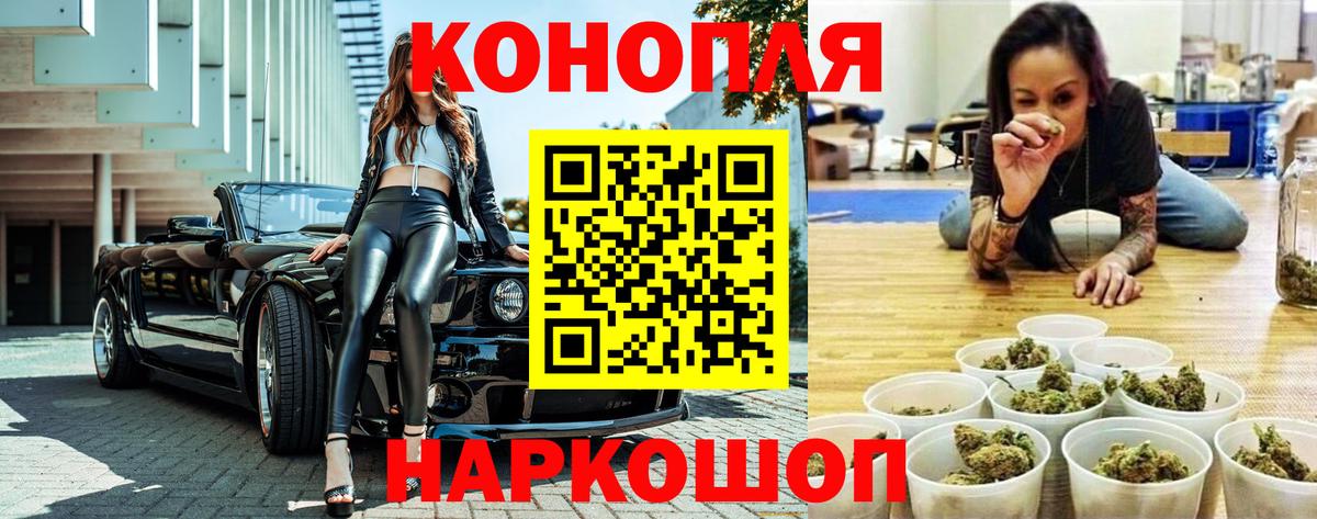 Каннабис OG Kush Кинель